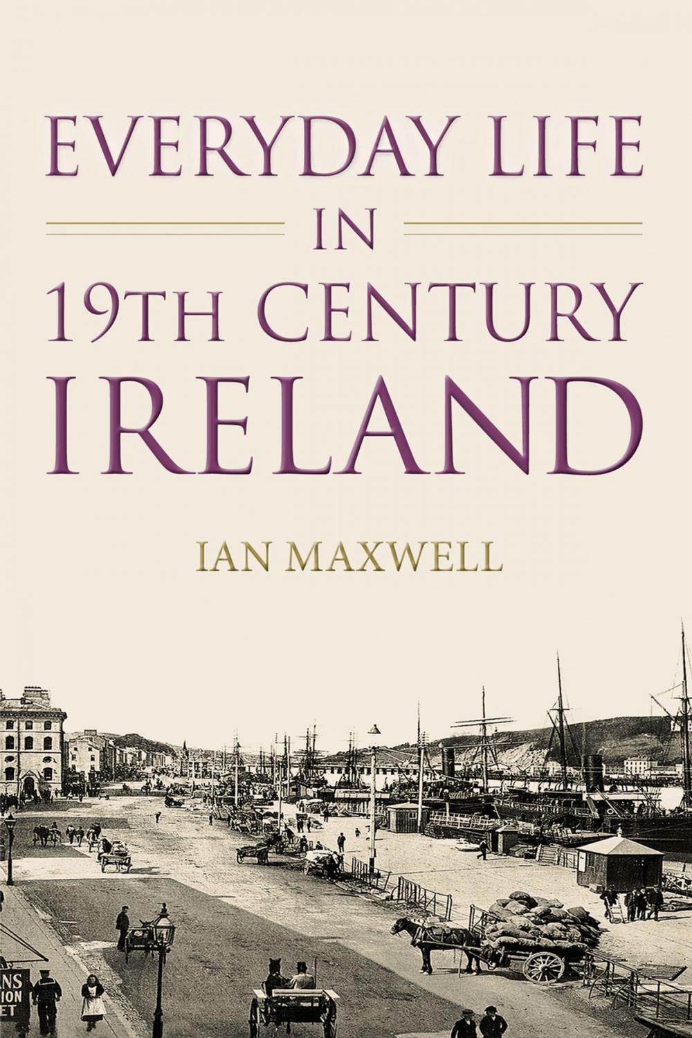 Big bigCover of Everyday Life in 19th Century Ireland