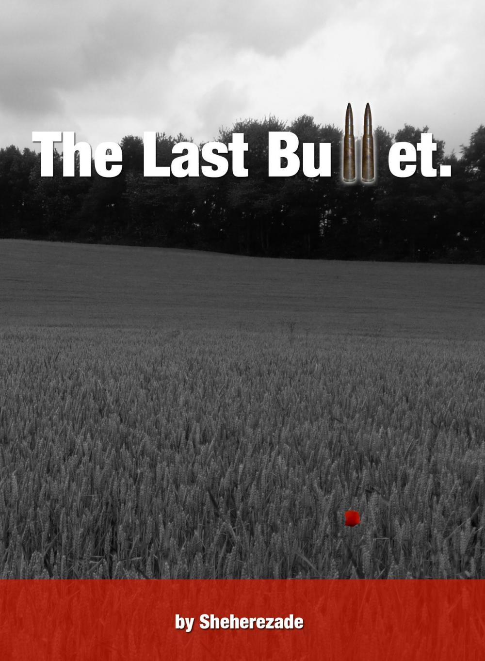 Big bigCover of The Last Bullet.