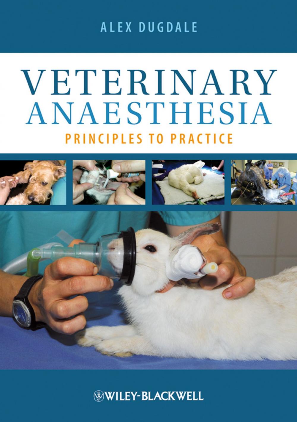 Big bigCover of Veterinary Anaesthesia