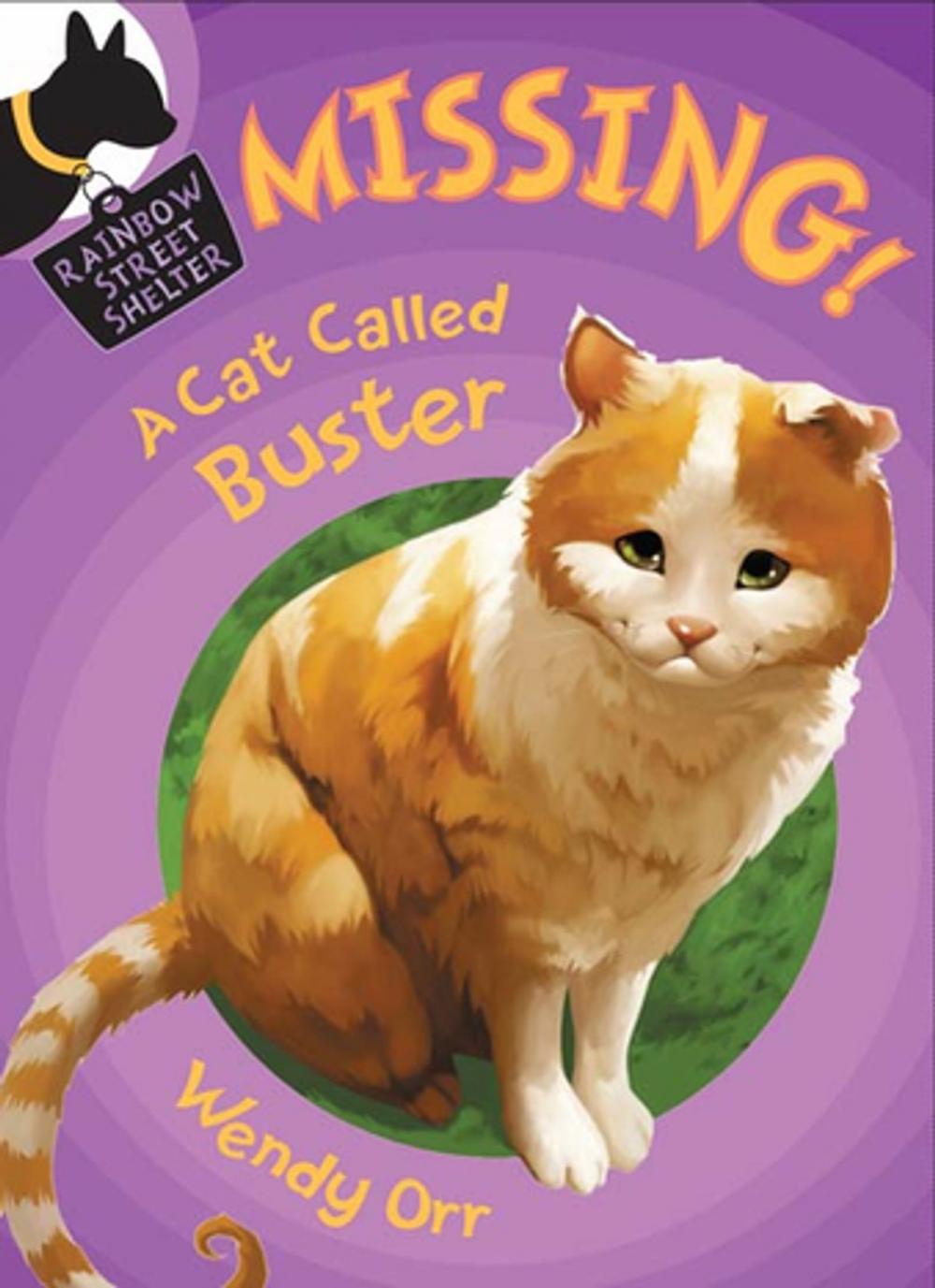 Big bigCover of MISSING! A Cat Called Buster