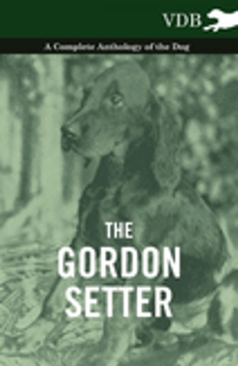 Big bigCover of The Gordon Setter - A Complete Anthology of the Dog