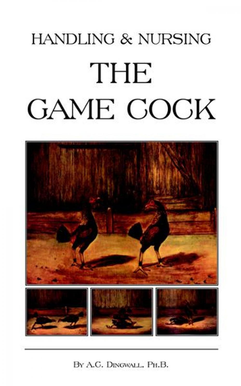 Big bigCover of Handling and Nursing the Game Cock (History of Cockfighting Series)