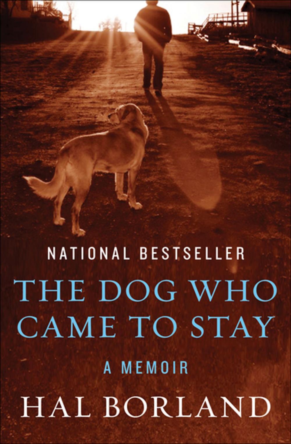 Big bigCover of The Dog Who Came to Stay: A Memoir