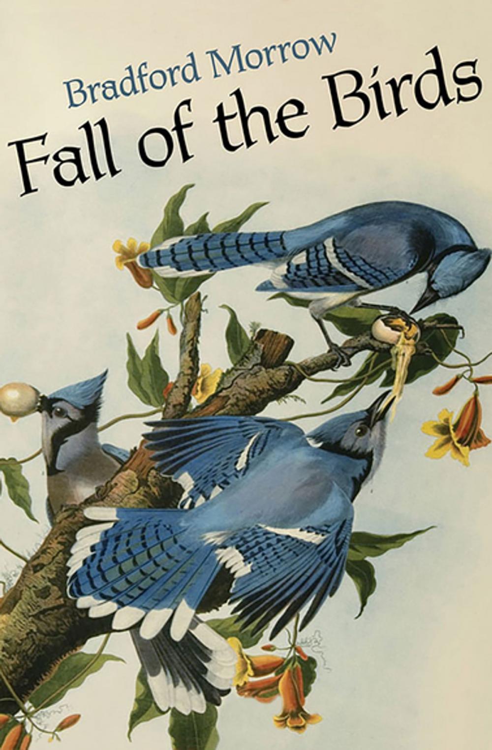 Big bigCover of Fall of the Birds