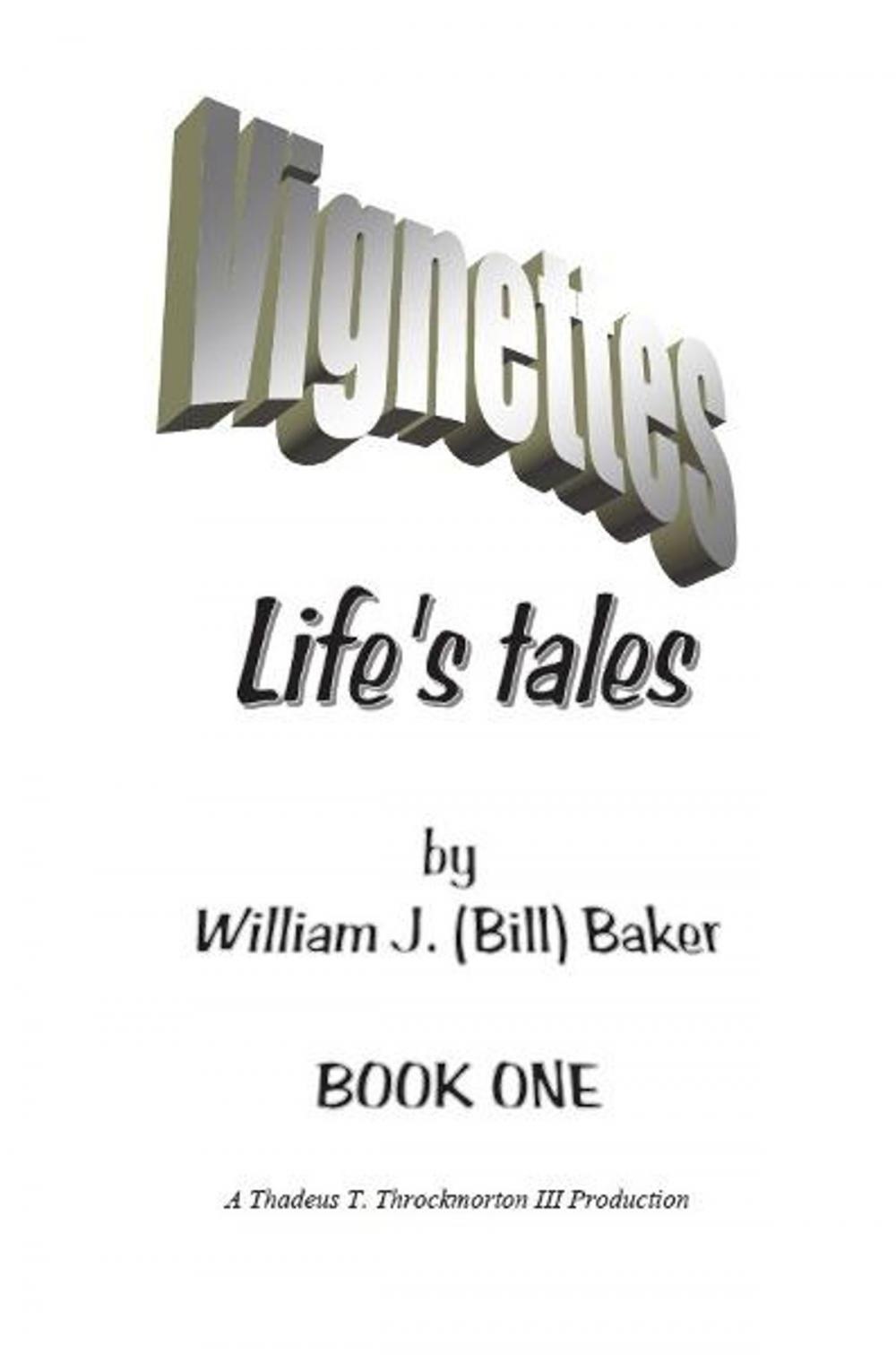 Big bigCover of Vignettes - Life's Tales Book One