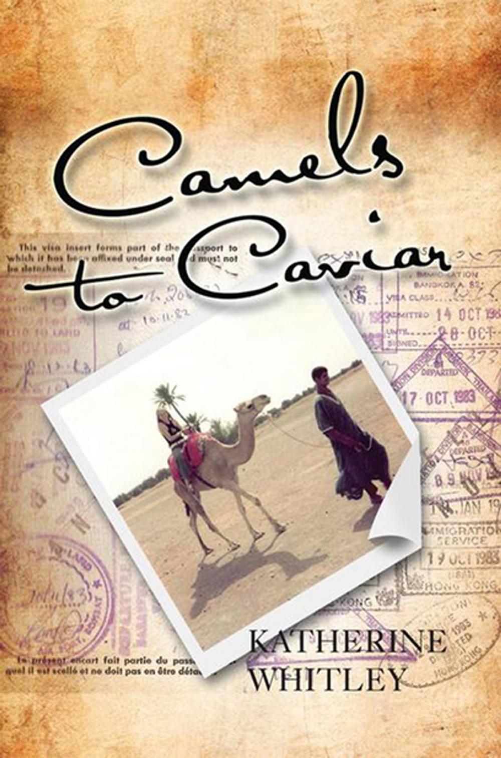 Big bigCover of Camels to Caviar