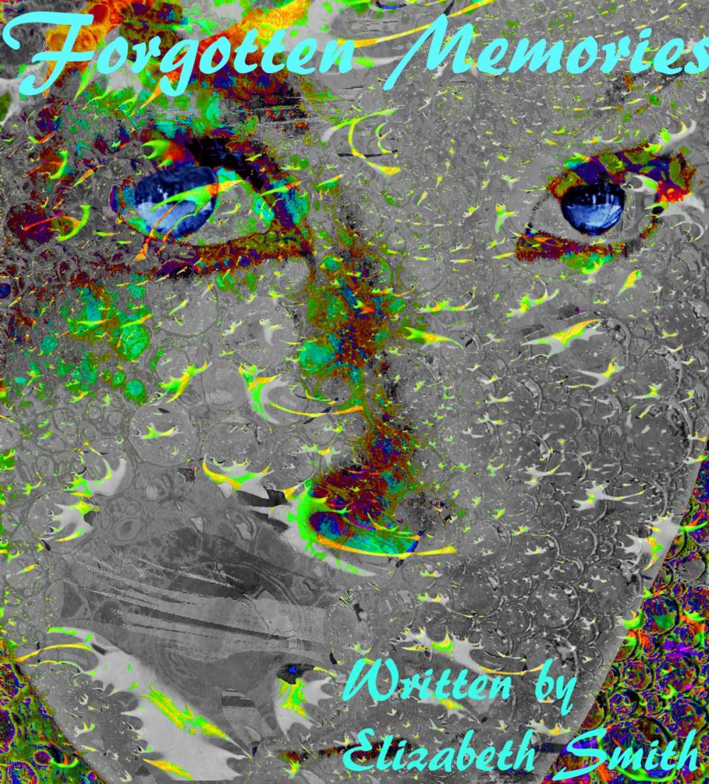Big bigCover of Forgotten memories (Book 1 of the Nevelair Chronicles)