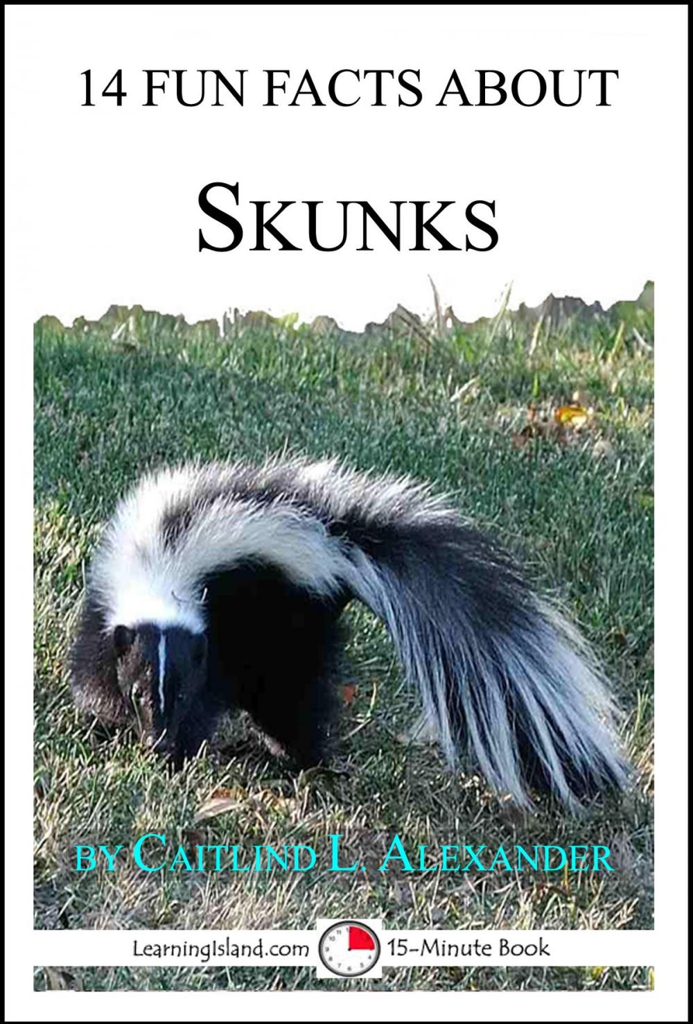 Big bigCover of 14 Fun Facts About Skunks: A 15-Minute Book