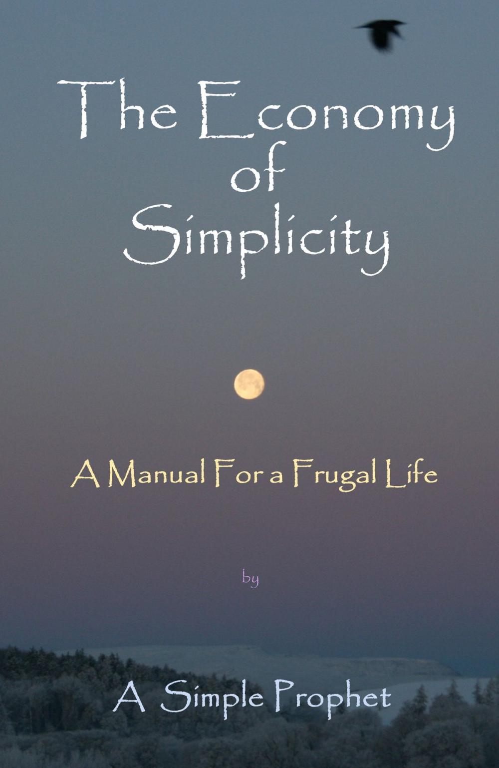 Big bigCover of The Economy of Simplicity