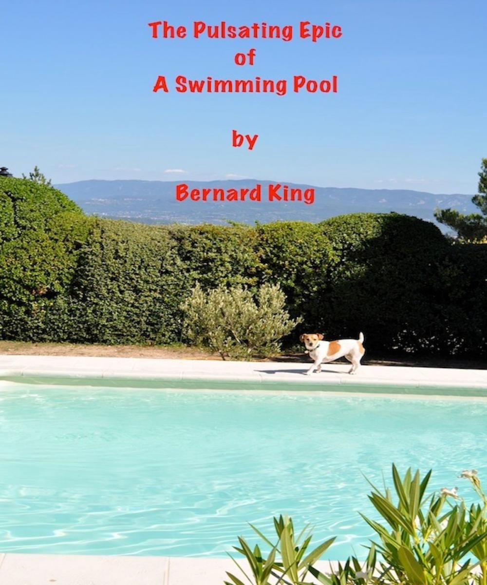 Big bigCover of The Pulsating Epic Of A swimming Pool