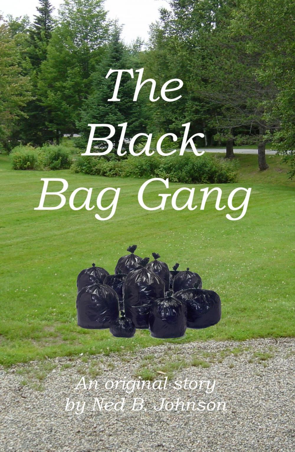 Big bigCover of The Black Bag Gang