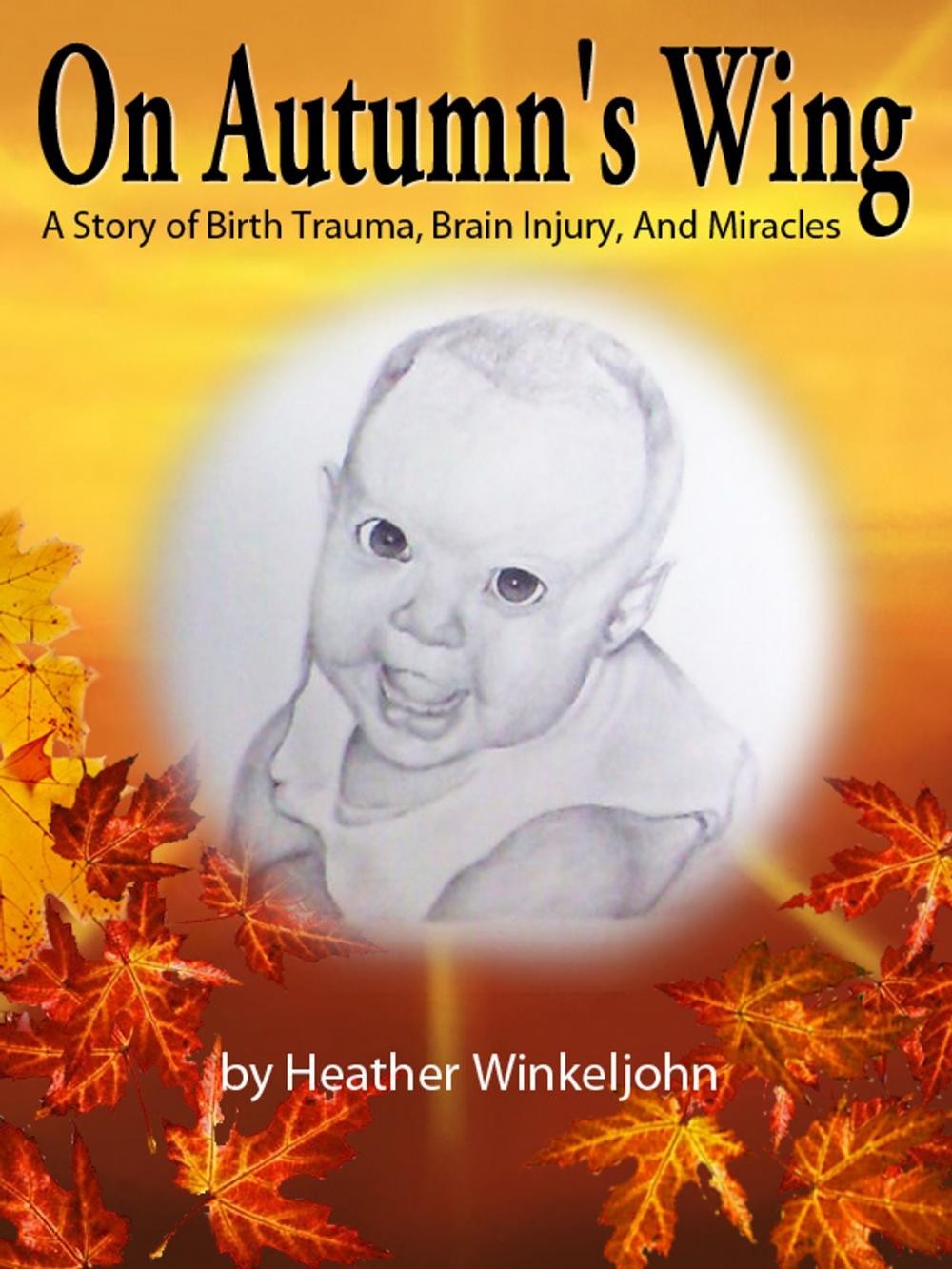 Big bigCover of On Autumn's Wing, A Story of Birth Trauma, Brain Injury and Miracles.