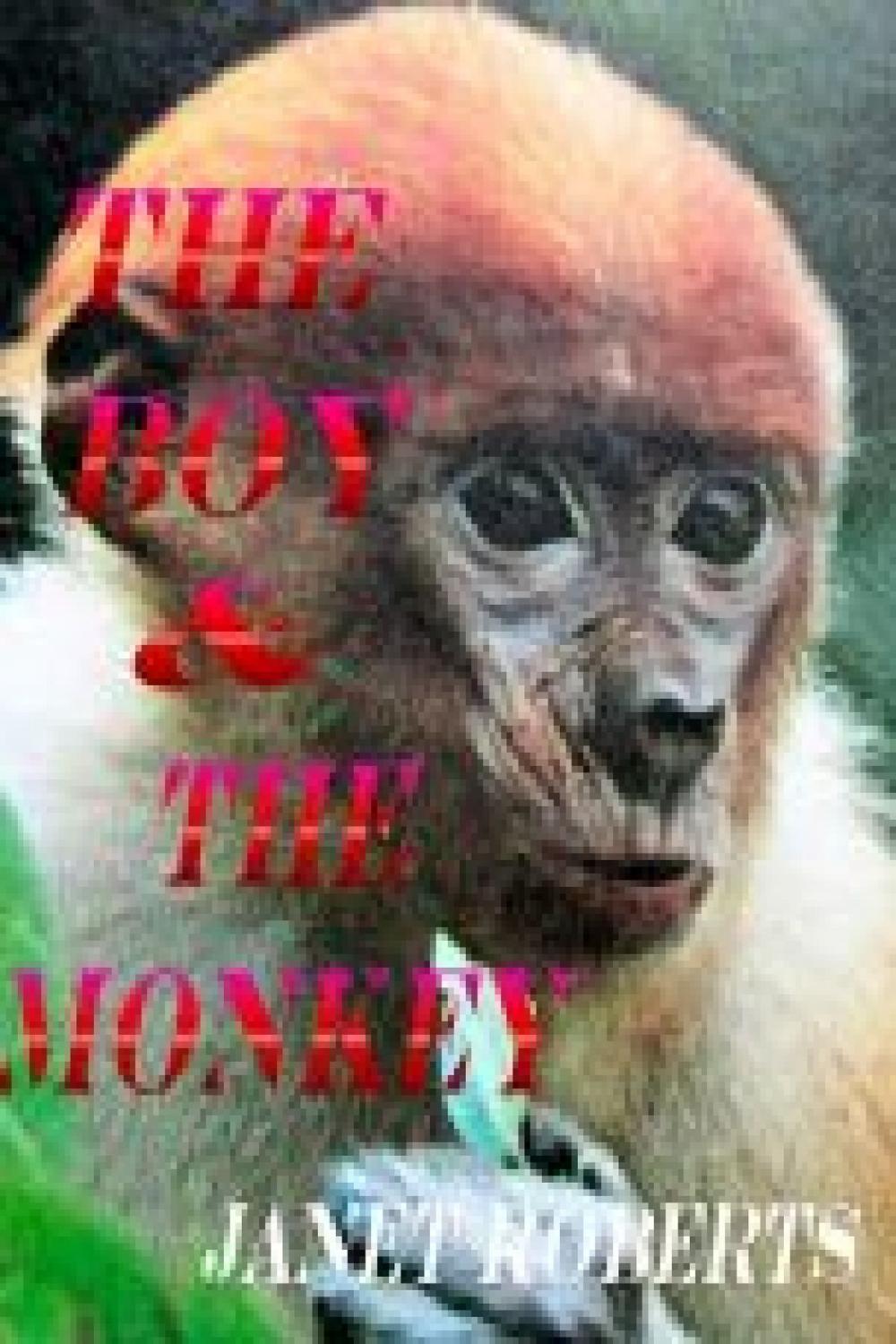 Big bigCover of The Boy & The Monkey