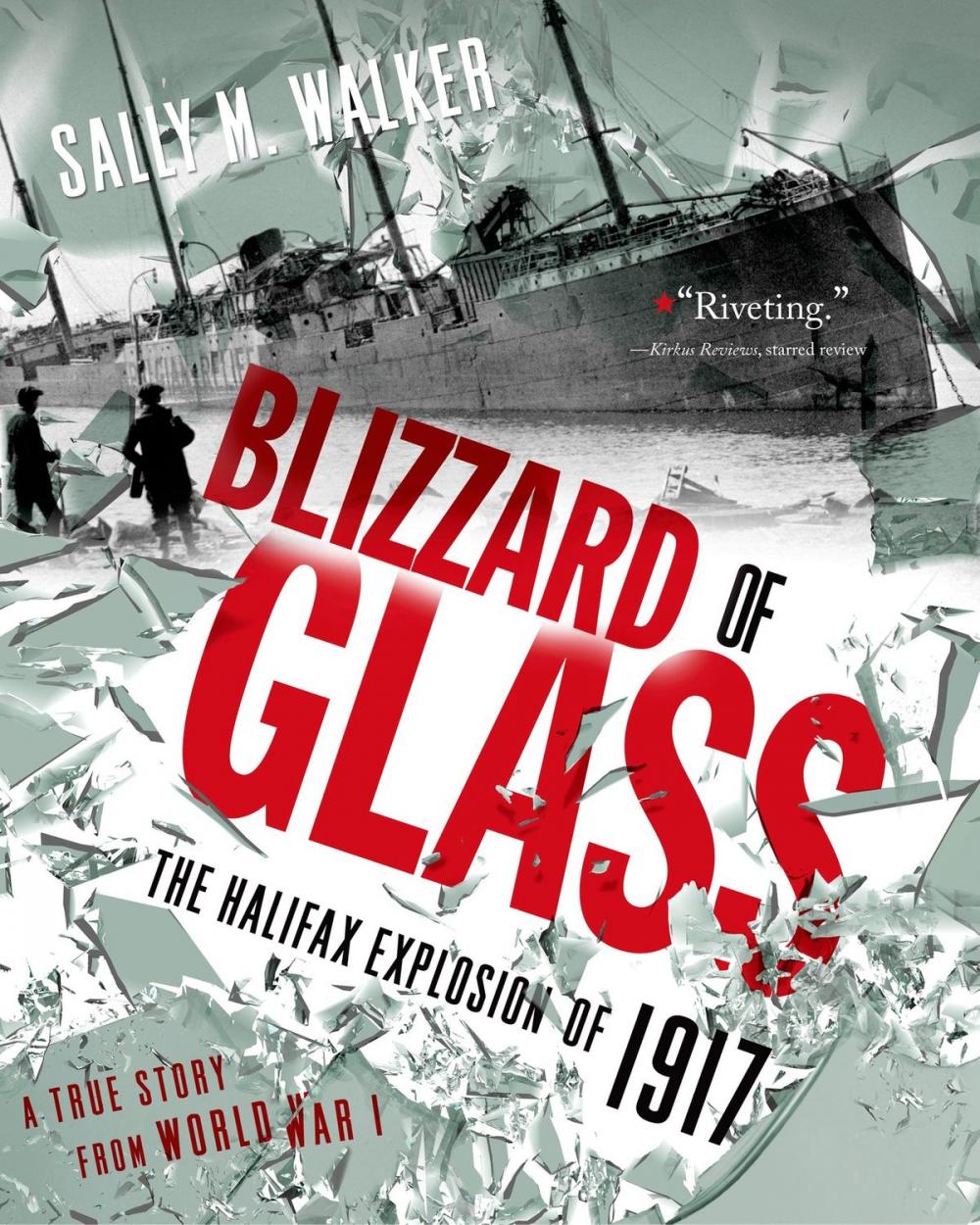 Big bigCover of Blizzard of Glass