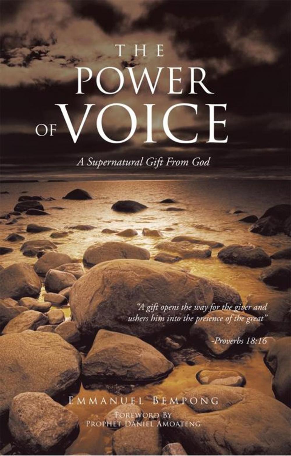 Big bigCover of The Power of Voice