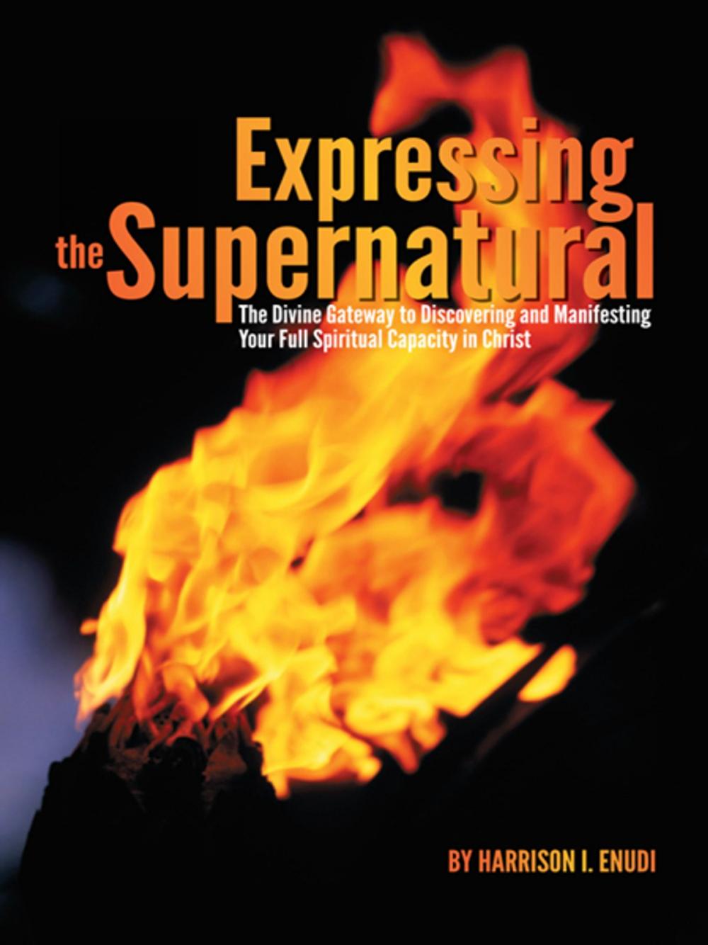 Big bigCover of Expressing the Supernatural