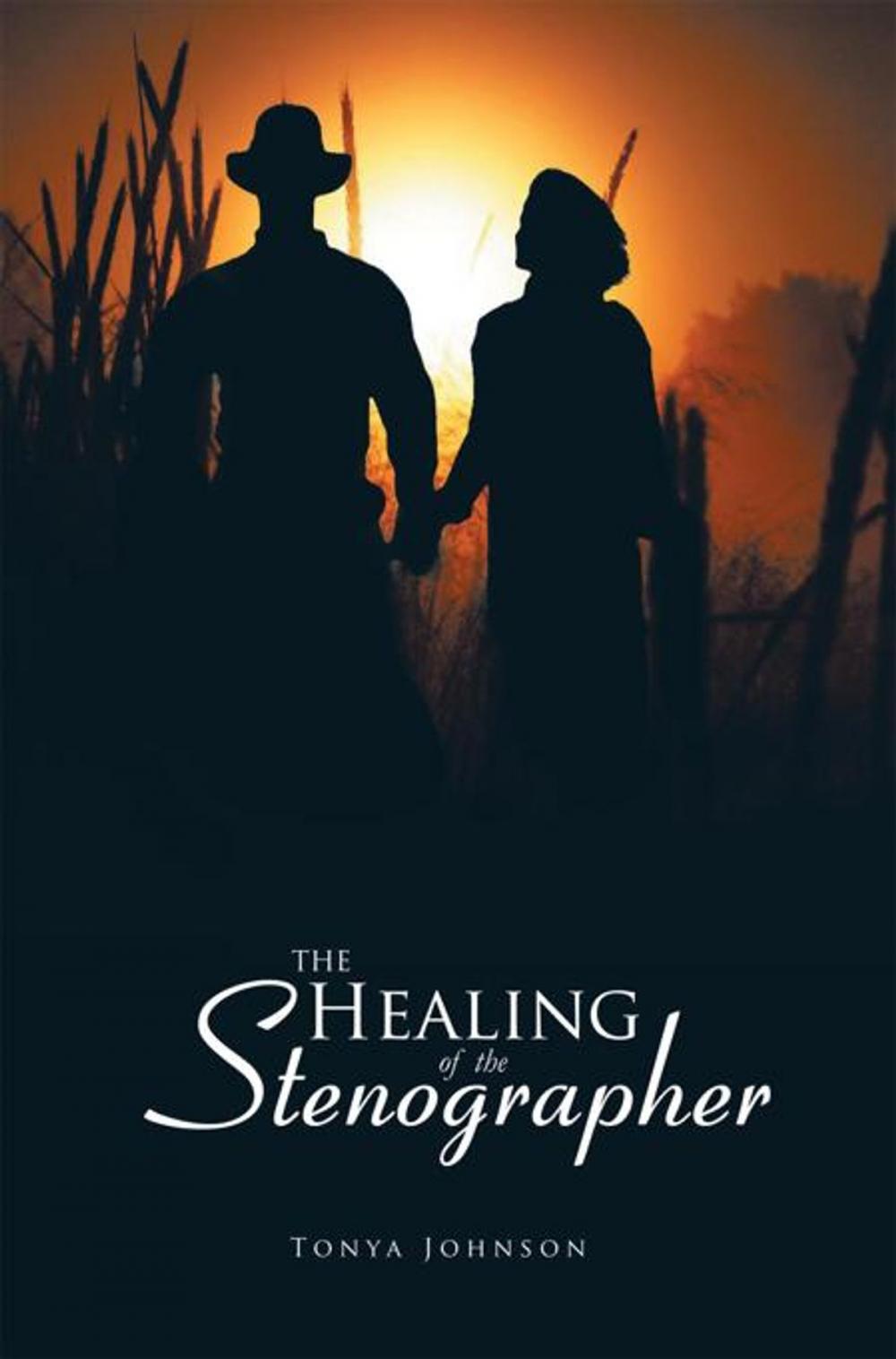 Big bigCover of The Healing of the Stenographer