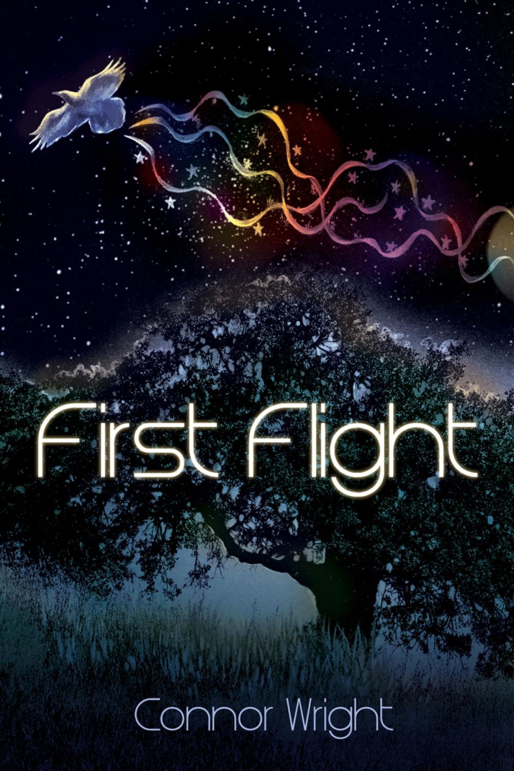 Big bigCover of First Flight