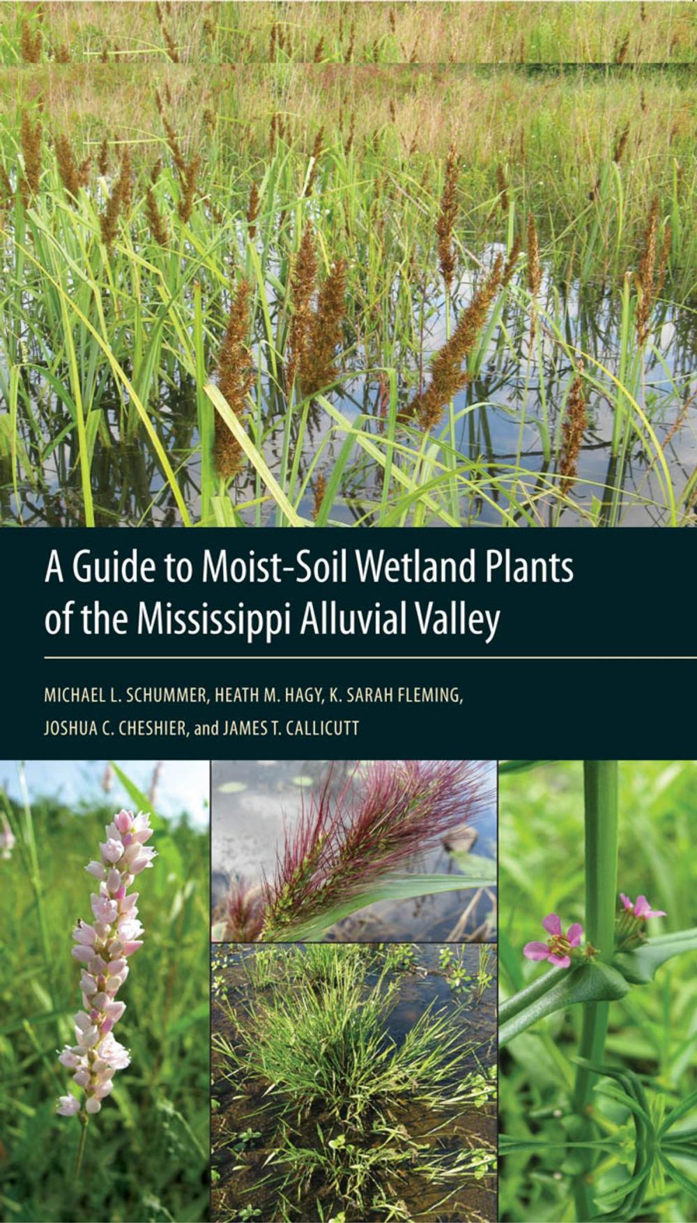 Big bigCover of A Guide to Moist-Soil Wetland Plants of the Mississippi Alluvial Valley