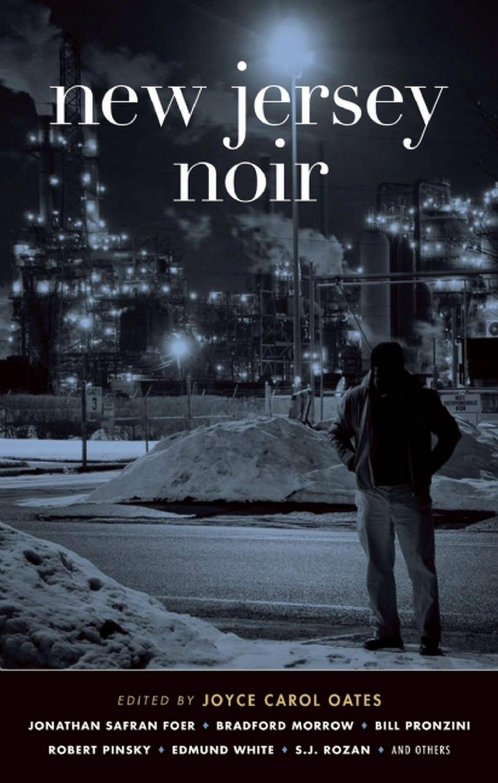 Big bigCover of New Jersey Noir