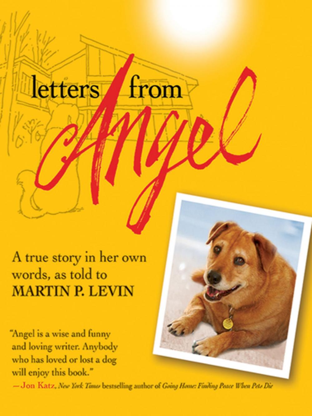 Big bigCover of Letters from Angel