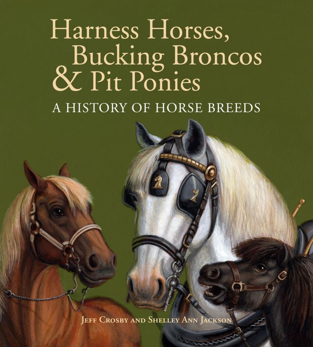 Big bigCover of Harness Horses, Bucking Broncos & Pit Ponies