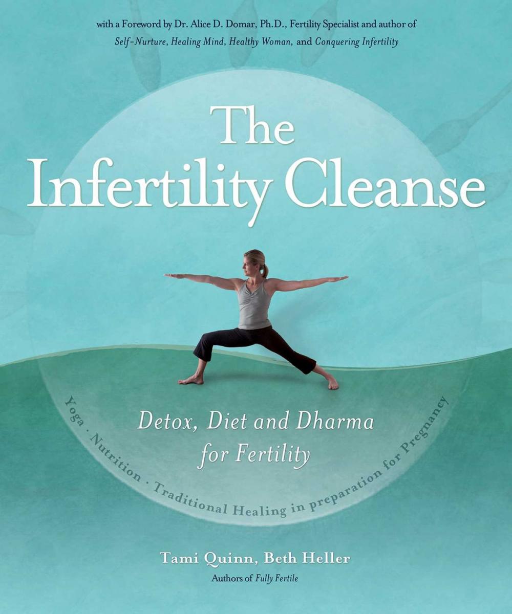 Big bigCover of The Infertility Cleanse