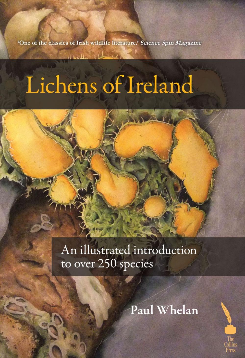 Big bigCover of Lichens of Ireland: An illustrated introduction to over 250 species