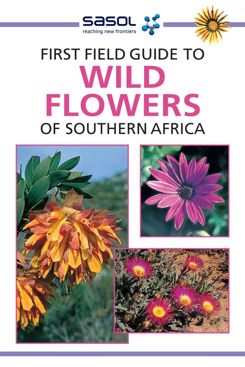 Big bigCover of First Field Guide to Wild Flowers of Southern Africa