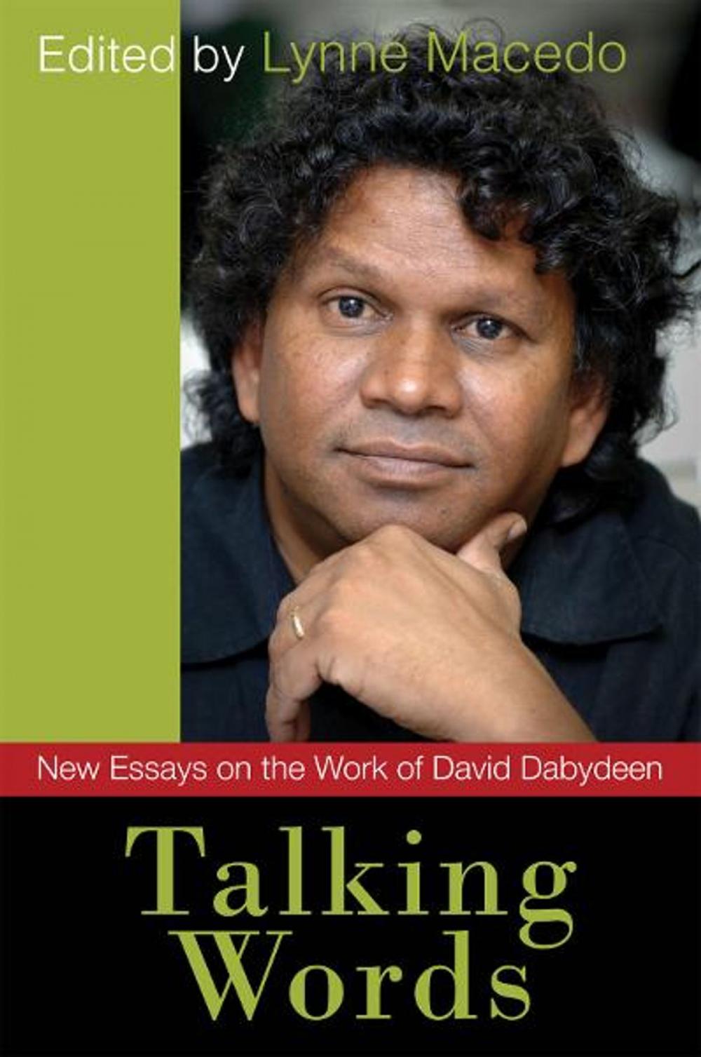 Big bigCover of Talking Words: New Essays on the Work of David Dabydeen