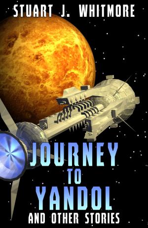 Cover of the book Journey to Yandol, and other stories by BMB Johnson
