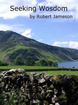 Cover of the book Seeking Wosdom by Robert Jameson