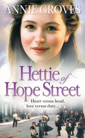 Cover of the book Hettie of Hope Street by David Nobbs