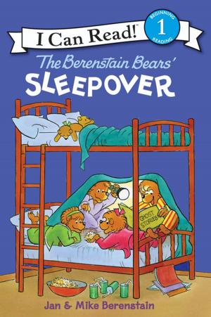 Cover of the book The Berenstain Bears' Sleepover by Karen Lee Morton