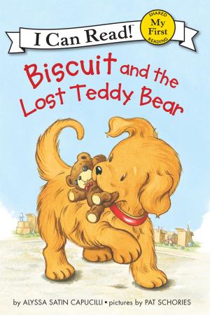 Book cover of Biscuit and the Lost Teddy Bear