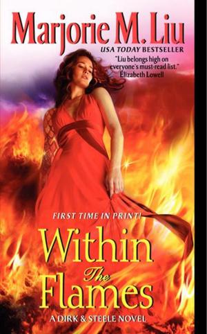 Book cover of Within the Flames
