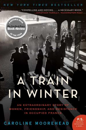 Book cover of A Train in Winter