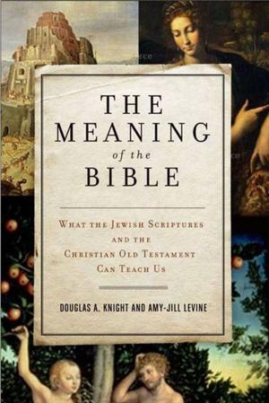Cover of the book The Meaning of the Bible by Jonathan Kirsch
