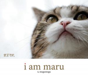 Cover of the book I Am Maru by Glen Erik Hamilton