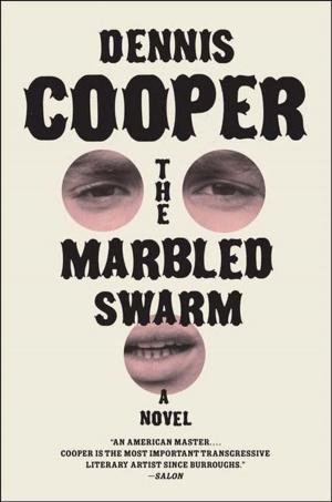 Cover of the book The Marbled Swarm by Jennifer Gilbert