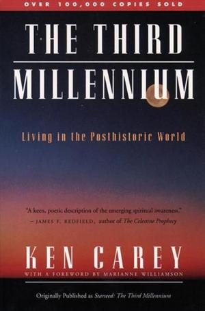 Cover of the book The Third Millennium by Stephen C. Meyer