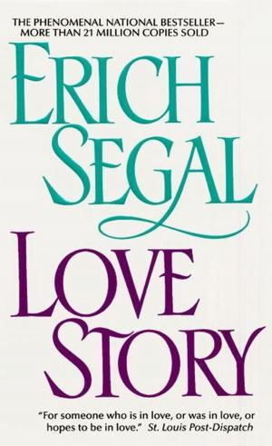 Cover of the book Love Story by Elizabeth Boyle