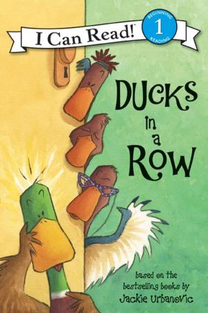 Cover of the book Ducks in a Row by Maddie Reeday