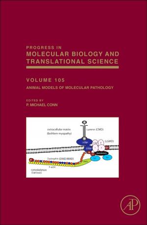 Cover of the book Animal Models of Molecular Pathology by Kevin Lynch, Nicholas Marchuk, Matthew Elwin