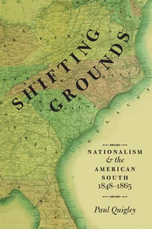 Cover of the book Shifting Grounds by Professor Gary L. Wenk