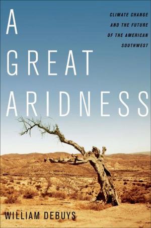 Cover of the book A Great Aridness by William Kinderman