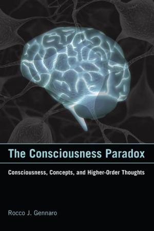 Cover of the book The Consciousness Paradox by David Skrbina