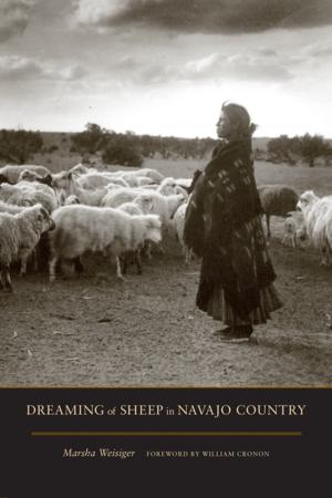 bigCover of the book Dreaming of Sheep in Navajo Country by 