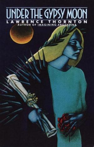 Cover of the book Under the Gypsy Moon by William M. Osborn