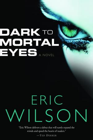 Cover of the book Dark to Mortal Eyes by Linda Lee Chaikin